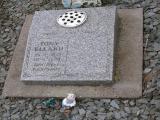 image of grave number 489711